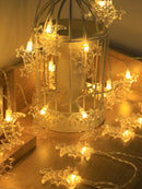 3 m 20 LED Lights Moon & Star Ramadan Eid Festival   (Code:15)