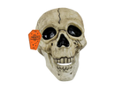 Halloween Skull Decoration with Black Line Detail   (5056283868931)