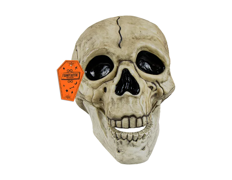 Halloween Skull Decoration with Black Line Detail   (5056283868931)