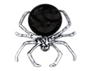 Spider Sweet Holder   (5056283882869)