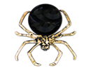 Spider Sweet Holder   (5056283882869)